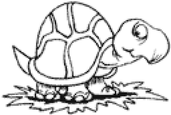 Die Schildkröte - die Schülerzeitung aus dem Klinikum Bremen-Nord